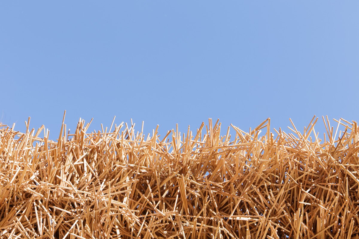 Timber material study against a blue sky