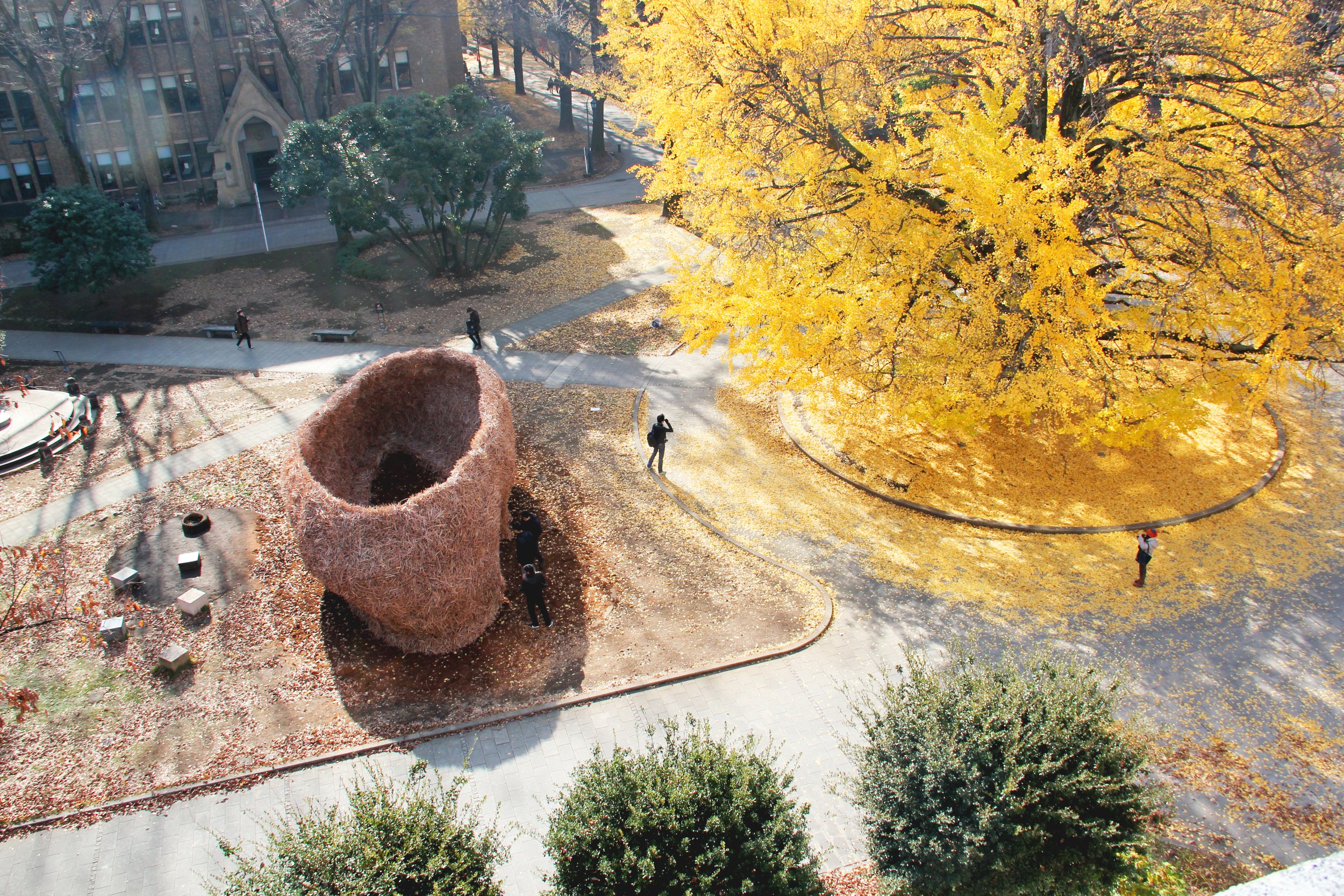 Aerial view of a park and art installation from Kevin Clement's published archive